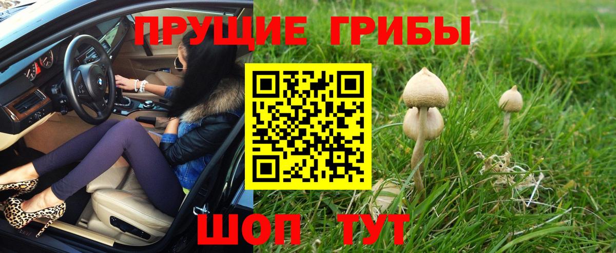 Псилоцибиновые грибы мицелий Лесозаводск