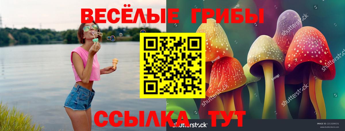 Псилоцибиновые грибы мухоморы  Вход с VPN  где купить   Лесозаводск 